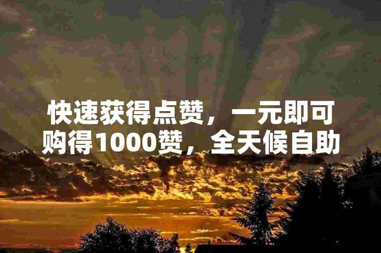 快速获得点赞，一元即可购得1000赞，全天候自助服务等你来体验。
