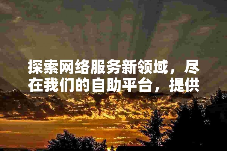 探索网络服务新领域，尽在我们的自助平台，提供高效便捷的在线点赞与粉丝增长服务。