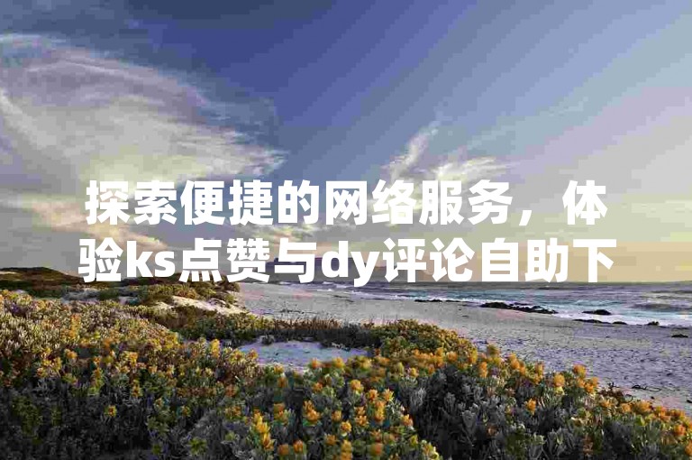 探索便捷的网络服务，体验ks点赞与dy评论自助下单的全新选择。