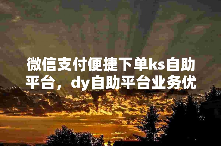 微信支付便捷下单ks自助平台，dy自助平台业务优惠来袭。