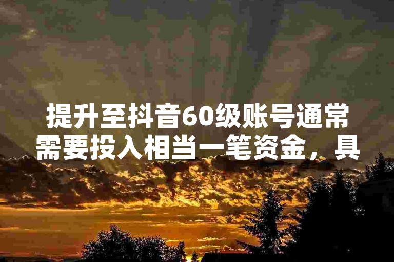 提升至抖音60级账号通常需要投入相当一笔资金，具体数额因个人消费习惯和平台规则而异。