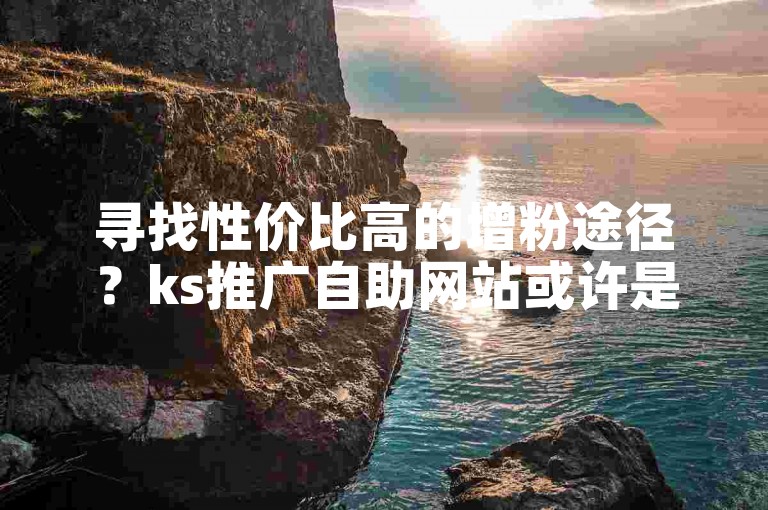 寻找性价比高的增粉途径？ks推广自助网站或许是不错的选择。