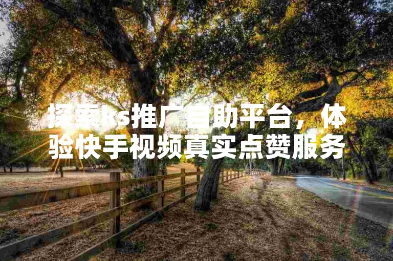 探索ks推广自助平台，体验快手视频真实点赞服务。