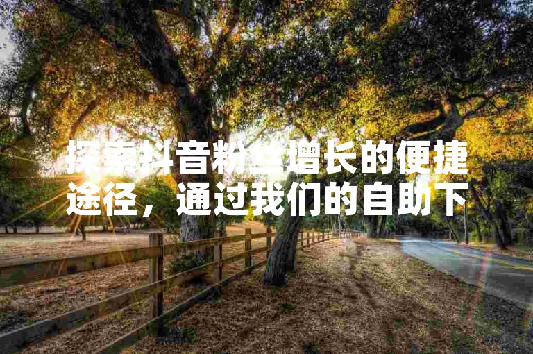 探索抖音粉丝增长的便捷途径，通过我们的自助下单服务，享受全网最低价格的粉丝提升体验。
