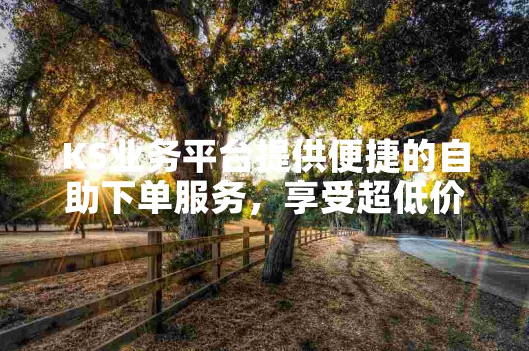 KS业务平台提供便捷的自助下单服务，享受超低价优惠。