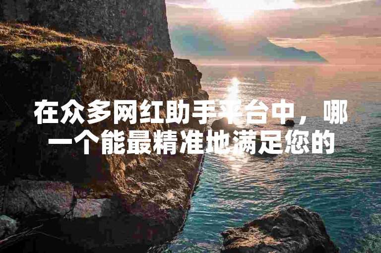 在众多网红助手平台中，哪一个能最精准地满足您的个性化需求呢？