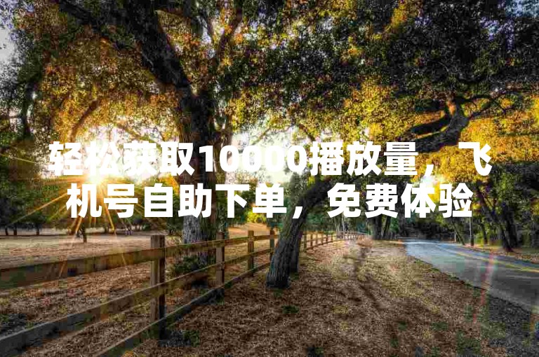 轻松获取10000播放量，飞机号自助下单，免费体验！