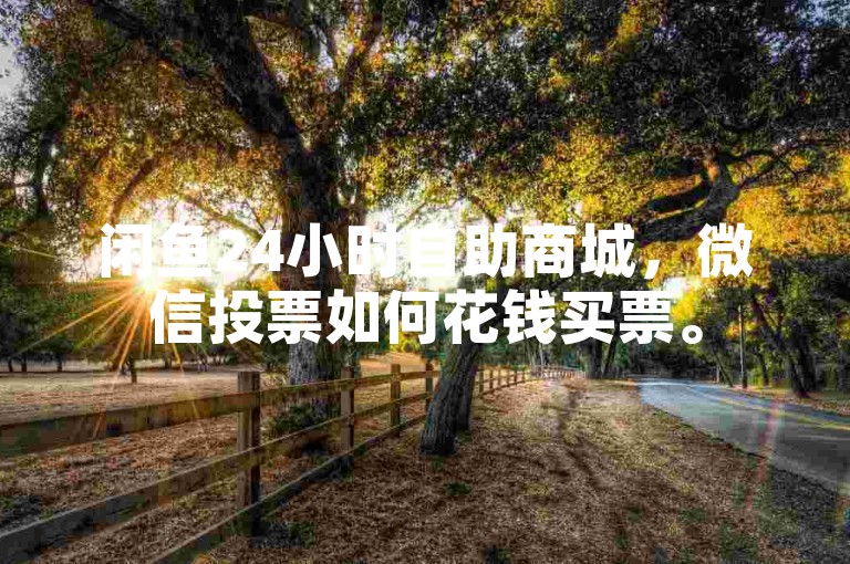 闲鱼24小时自助商城，微信投票如何花钱买票。
