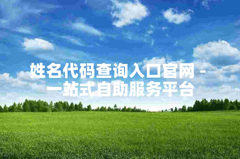 姓名代码查询入口官网 - 一站式自助服务平台