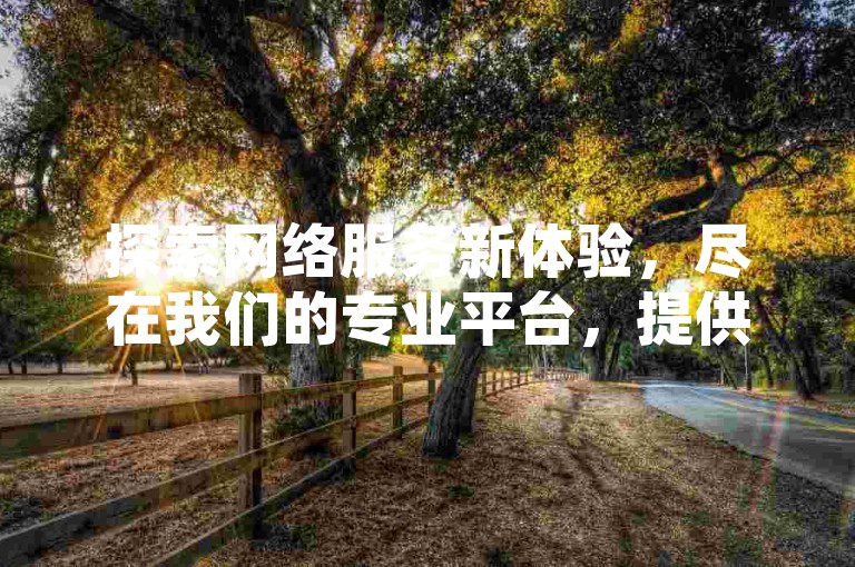 探索网络服务新体验，尽在我们的专业平台，提供多样化的社交媒体增长工具。