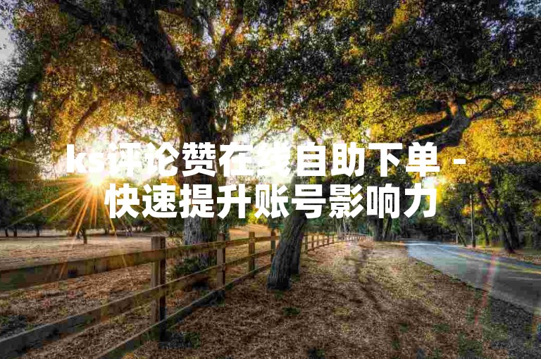 ks评论赞在线自助下单 - 快速提升账号影响力