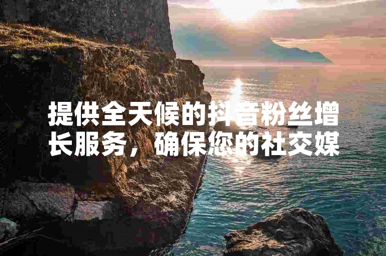 提供全天候的抖音粉丝增长服务，确保您的社交媒体影响力持续扩大。