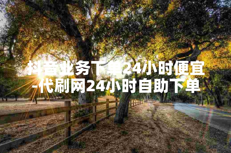 抖音业务下单24小时便宜-代刷网24小时自助下单
