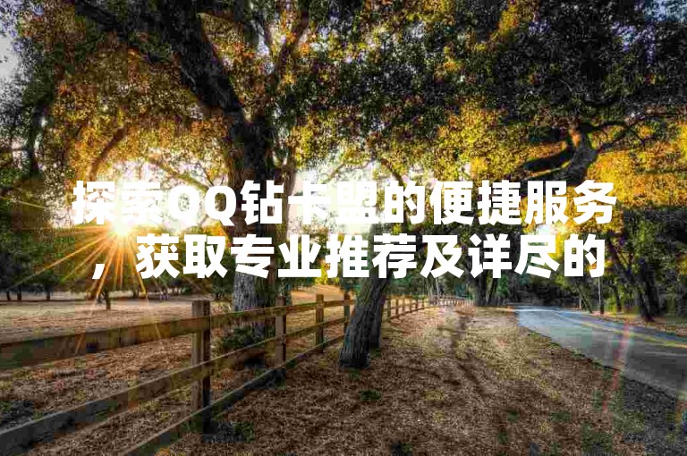 探索QQ钻卡盟的便捷服务，获取专业推荐及详尽的使用指南。