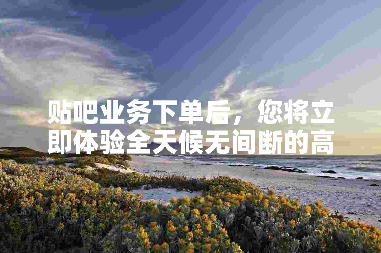 贴吧业务下单后，您将立即体验全天候无间断的高效服务。
