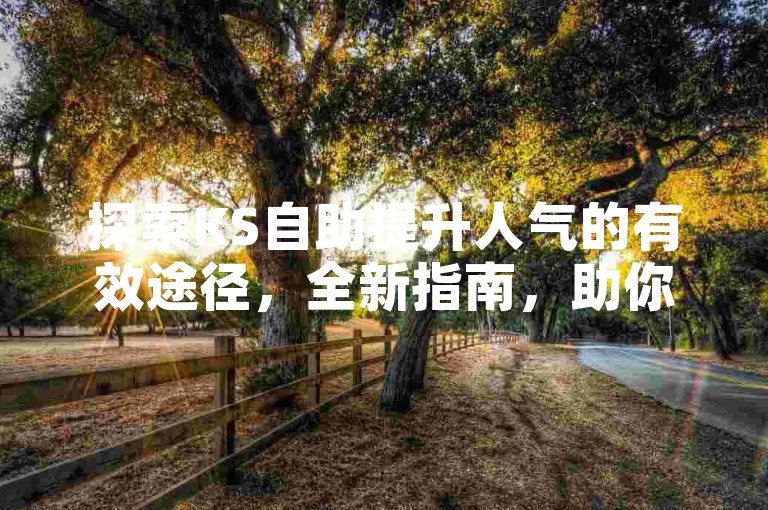 探索KS自助提升人气的有效途径，全新指南，助你快速上手！
