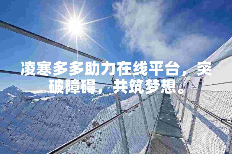凌寒多多助力在线平台，突破障碍，共筑梦想。