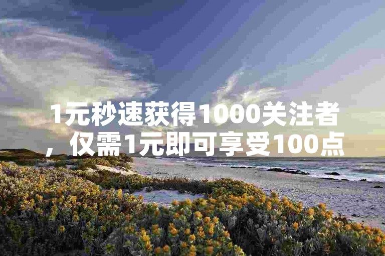 1元秒速获得1000关注者，仅需1元即可享受100点赞的自助服务网站。