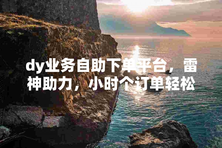 dy业务自助下单平台，雷神助力，小时个订单轻松处理。