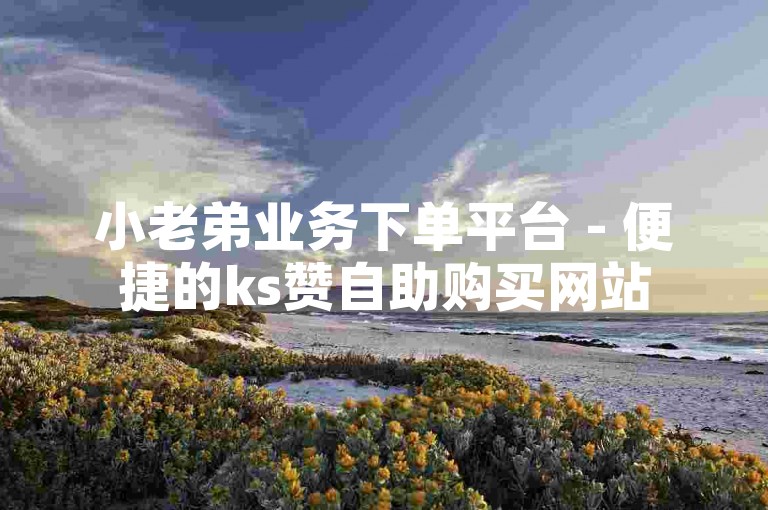 小老弟业务下单平台 - 便捷的ks赞自助购买网站
