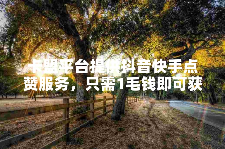 卡盟平台提供抖音快手点赞服务，只需1毛钱即可获得1000个赞。