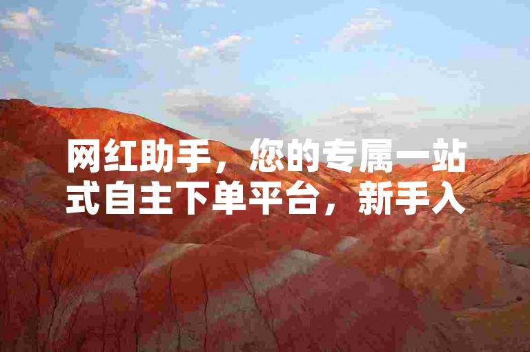 网红助手，您的专属一站式自主下单平台，新手入门首选！