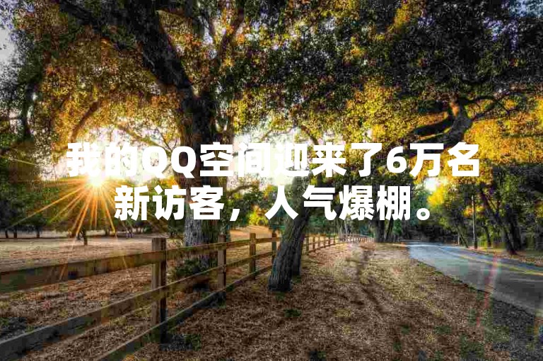 我的QQ空间迎来了6万名新访客，人气爆棚。
