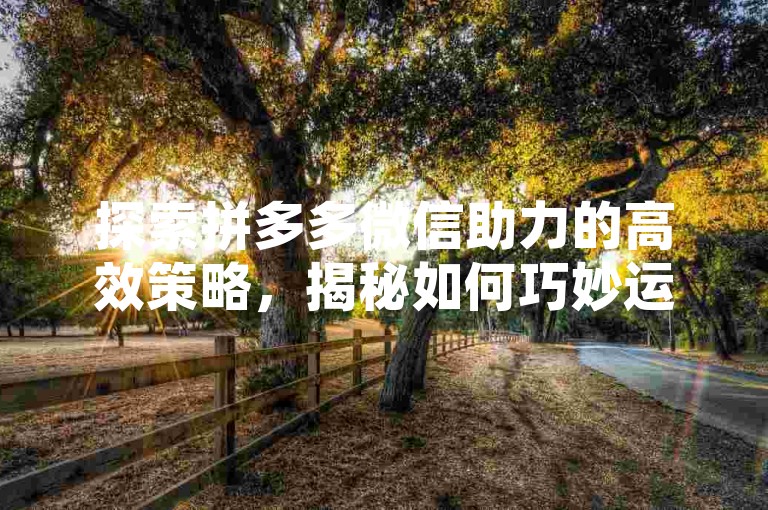 探索拼多多微信助力的高效策略，揭秘如何巧妙运用社交网络资源提升购物体验。