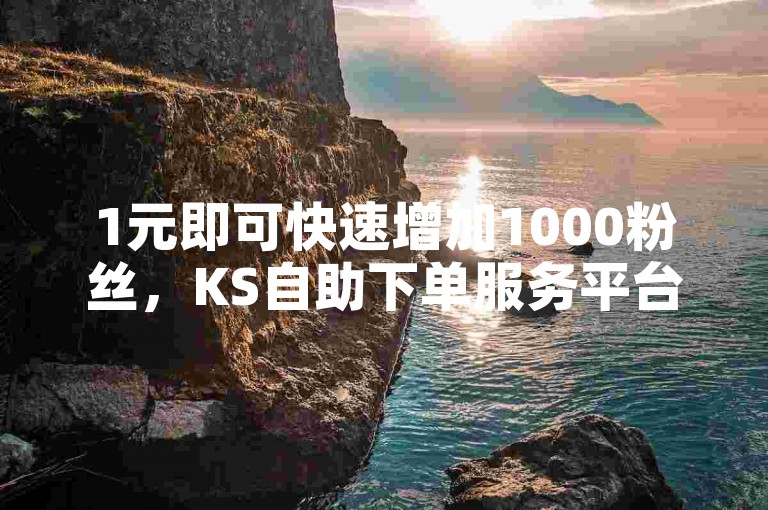1元即可快速增加1000粉丝，KS自助下单服务平台助你轻松实现。