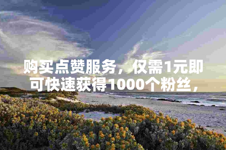 购买点赞服务，仅需1元即可快速获得1000个粉丝，同时支持网易云音乐相关业务的订单处理。