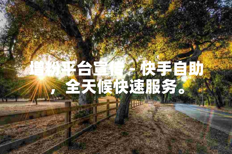 增粉平台宣传 - 快手自助，全天候快速服务。