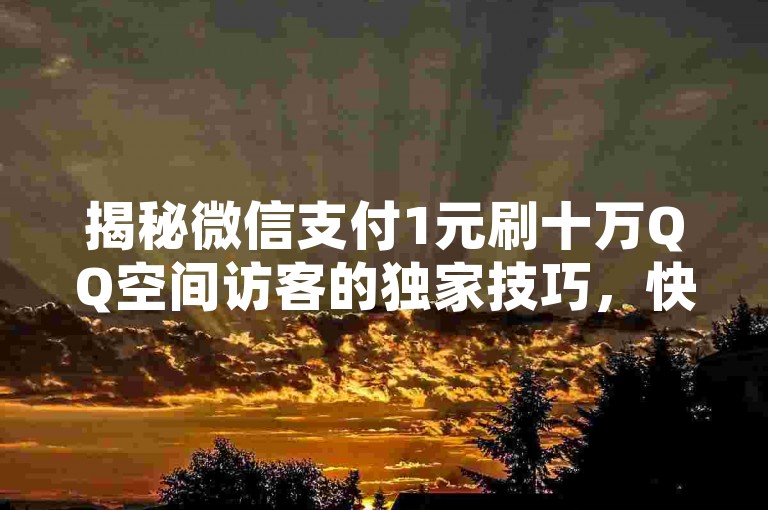 揭秘微信支付1元刷十万QQ空间访客的独家技巧，快速提升你的社交影响力！2025年必备技能。