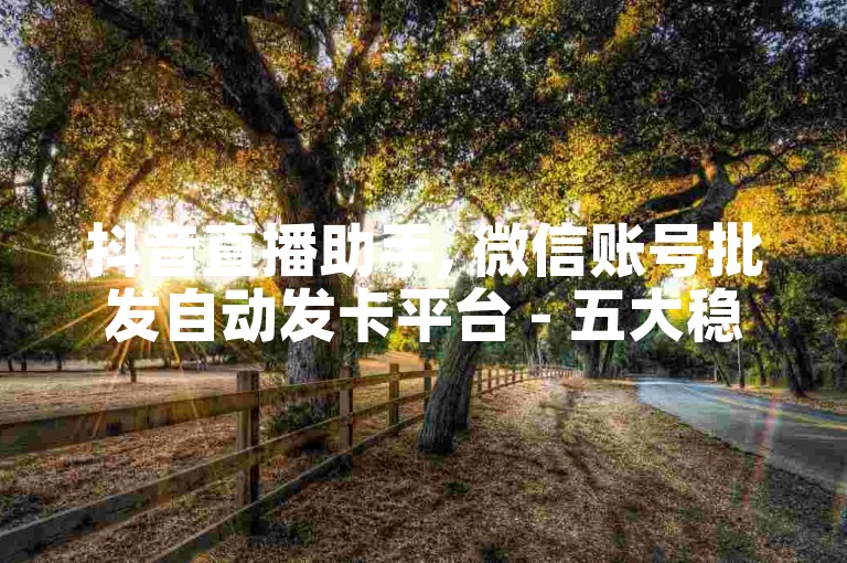 抖音直播助手, 微信账号批发自动发卡平台 - 五大稳定不封号社交平台 - 虚拟商品交易网