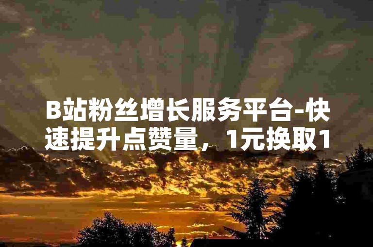 B站粉丝增长服务平台-快速提升点赞量，1元换取100赞的便捷自助下单网站。