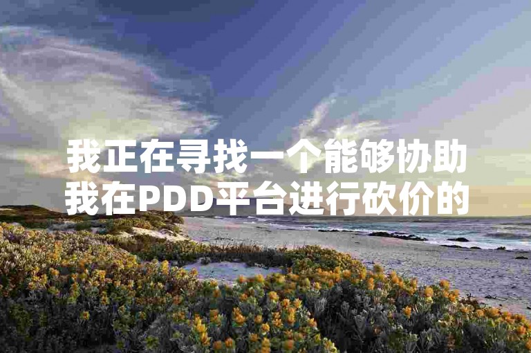 我正在寻找一个能够协助我在PDD平台进行砍价的QQ群，名叫多多助力软件。