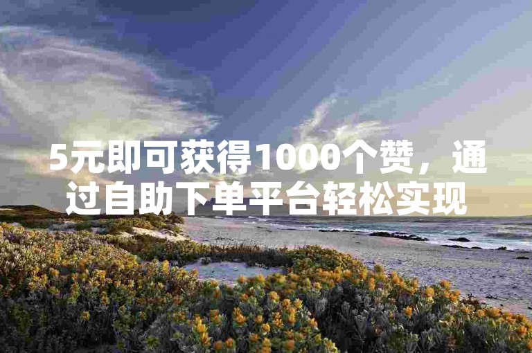 5元即可获得1000个赞，通过自助下单平台轻松实现。