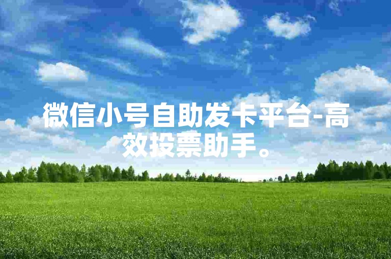 微信小号自助发卡平台-高效投票助手。