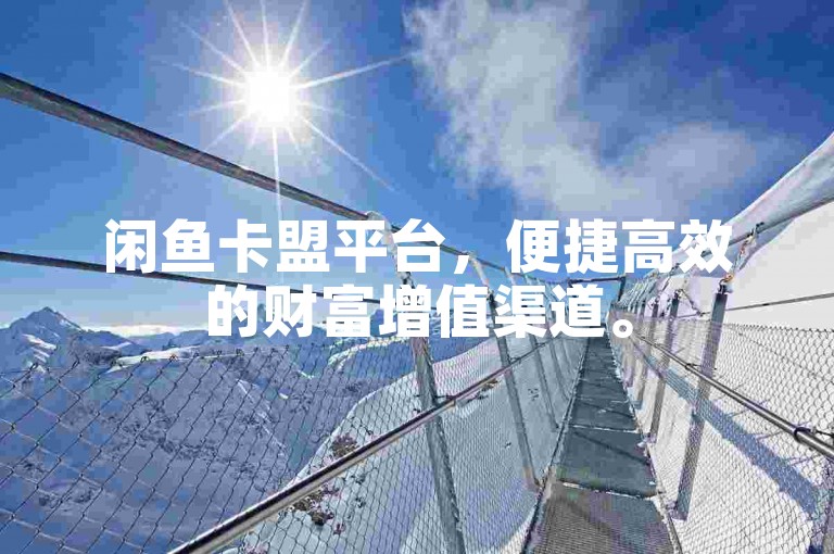 闲鱼卡盟平台，便捷高效的财富增值渠道。
