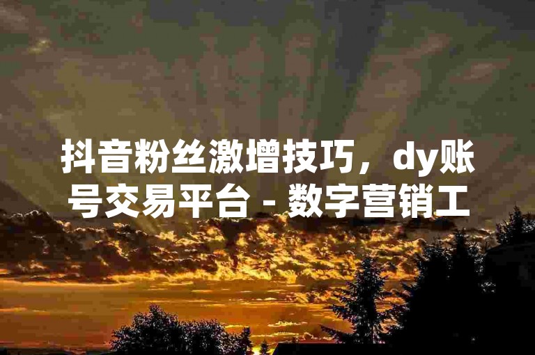 抖音粉丝激增技巧，dy账号交易平台 - 数字营销工具库 - 自动点赞评论系统。