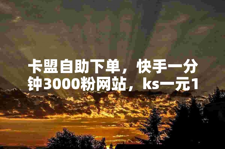 卡盟自助下单，快手一分钟3000粉网站，ks一元1000个赞秒到软件。