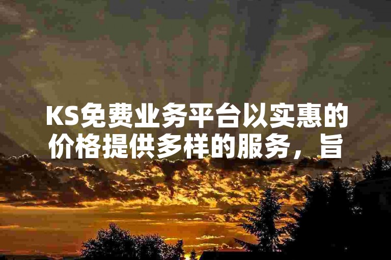 KS免费业务平台以实惠的价格提供多样的服务，旨在为用户带来经济高效的解决方案。