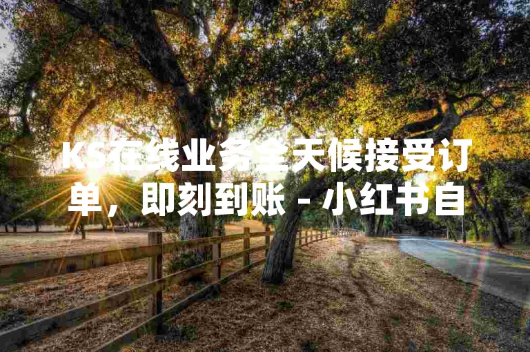 KS在线业务全天候接受订单，即刻到账 - 小红书自助服务价格全网最优，dy主播评论区点赞可自助下单。