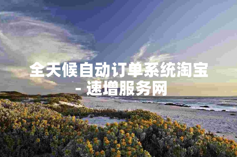 全天候自动订单系统淘宝 - 速增服务网