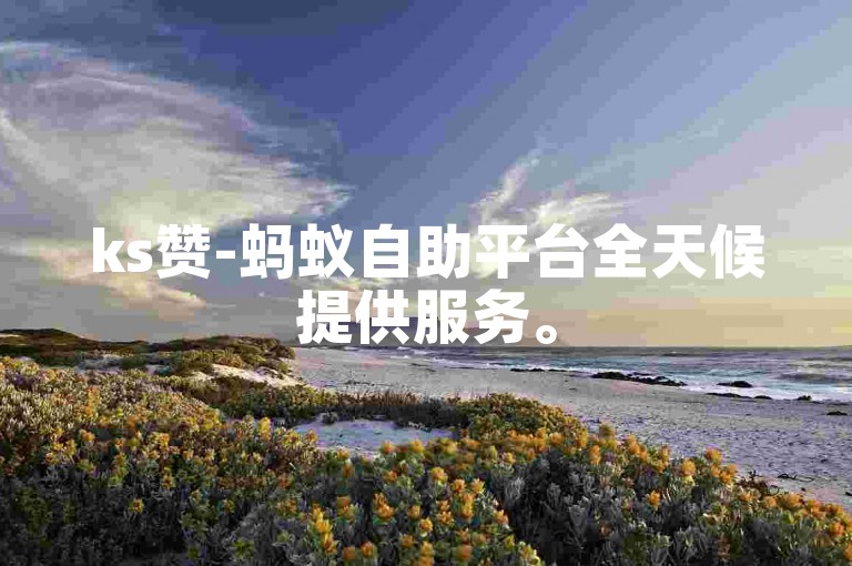 ks赞-蚂蚁自助平台全天候提供服务。