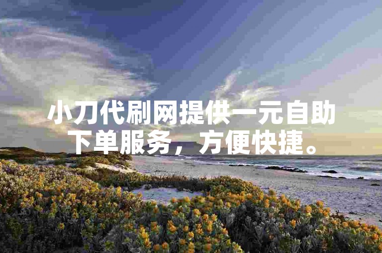 小刀代刷网提供一元自助下单服务，方便快捷。