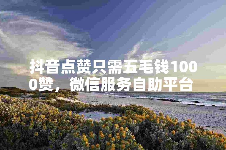 抖音点赞只需五毛钱1000赞，微信服务自助平台 - 微信号批发两毛一个 - 虚拟商品交易网站实时处理订单。