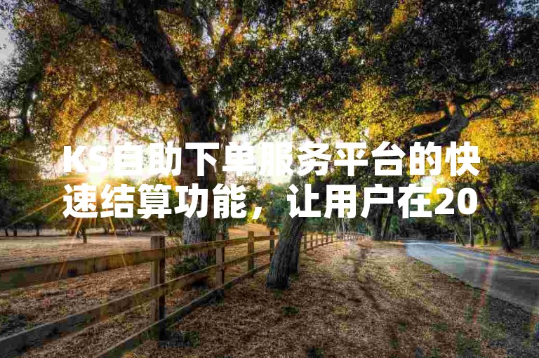 KS自助下单服务平台的快速结算功能，让用户在2024年享受到秒到帐的便捷体验。