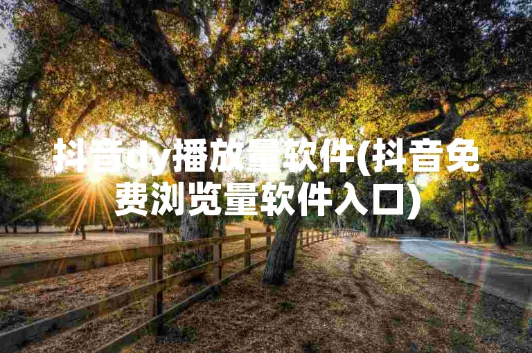 抖音dy播放量软件(抖音免费浏览量软件入口)