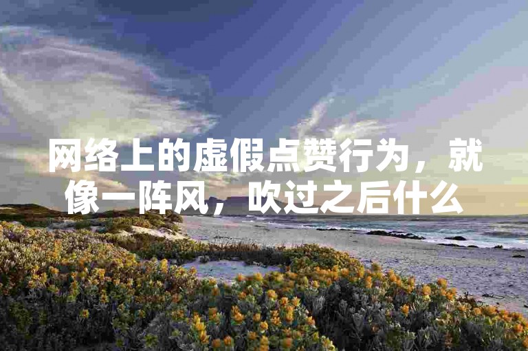 网络上的虚假点赞行为，就像一阵风，吹过之后什么也没留下。