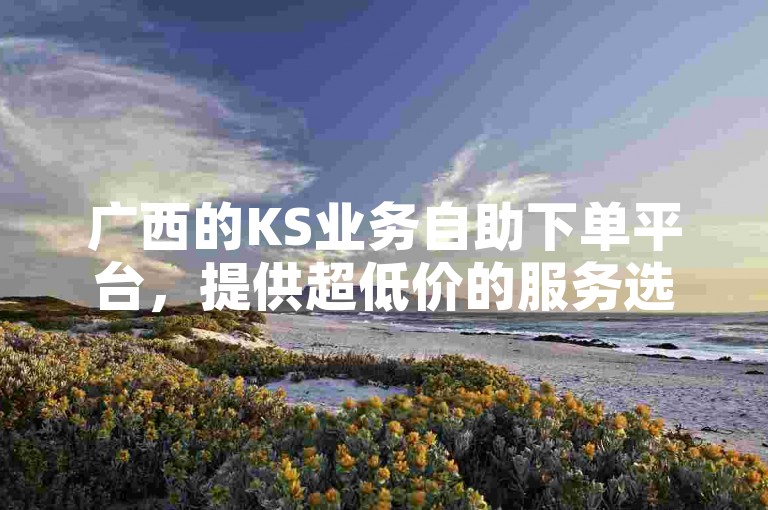 广西的KS业务自助下单平台，提供超低价的服务选项。